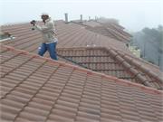 GRAYCO_CONSULTANTS_22(2)