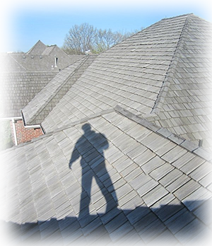 Roof Inspection